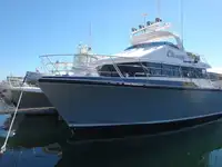 Embarcaciones de trabajo en venta