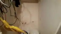 Arrastrero en venta