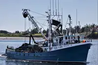 Arrastrero de cerco en venta