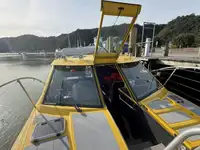 Buque de crucero en venta
