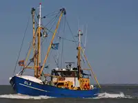 Arrastrero en venta