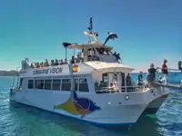 Buque de pasajeros en venta