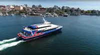 Catamarán en venta
