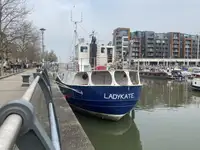 Arrastrero en venta
