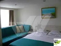 Buque de crucero en venta