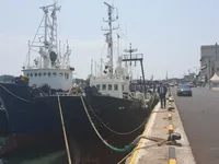 Arrastrero en venta