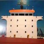 Buque granelero en venta