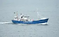 Trawler en venta