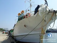 Calamarero en venta