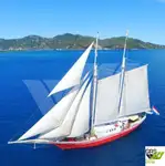 Crucero en venta