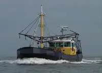 Arrastrero en venta