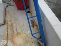 Arrastrero en venta