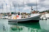 Arrastrero en venta