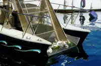 Barcos de trabajo en venta