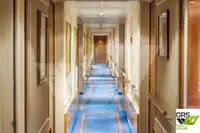 Buque de crucero en venta