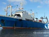 Arrastrero en venta