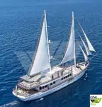 Buque de crucero en venta