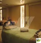 Buque de crucero en venta