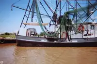 Arrastrero en venta