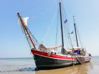 Buque granelero en venta