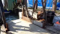 Arrastrero en venta