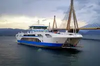 Barco de transbordador en venta