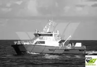 Catamarán en venta