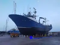 Palangrero de atún en venta