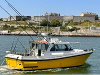 Lancha piloto en venta