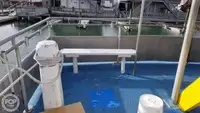 Catamarán en venta