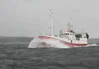 Trawler en venta
