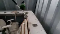 Arrastrero en venta