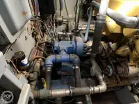 Palangrero en venta