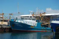Trawler en venta