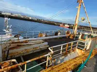 Granelero en venta