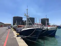 Longliner en venta