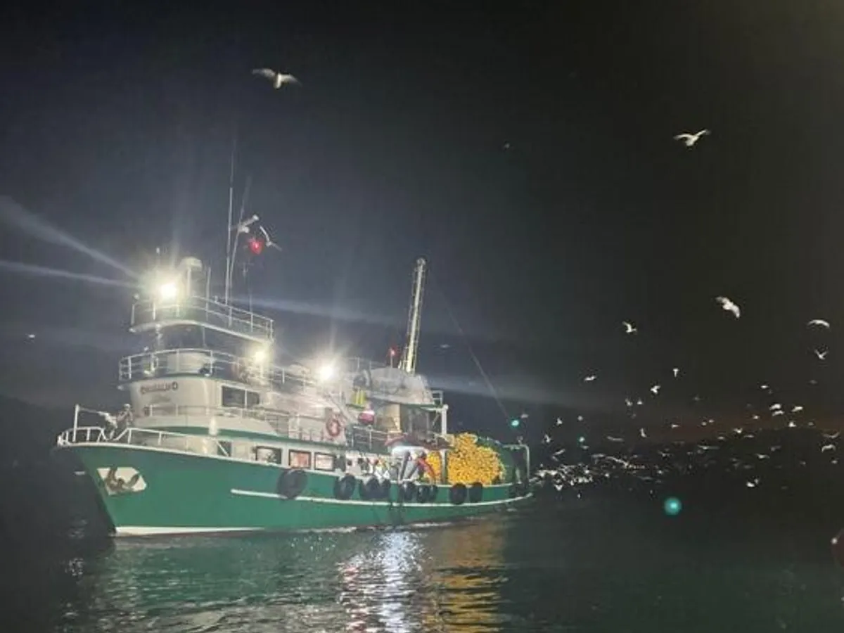 Arrastrero de cerco en venta