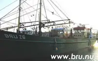 Arrastrero en venta