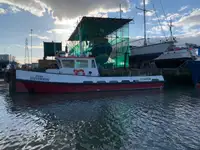 Barcos de trabajo en venta