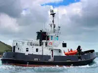 Barcos de trabajo en venta