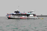 Catamarán en venta