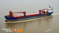 Granelero en venta