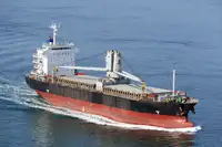 Granelero en venta