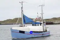 Palangrero en venta