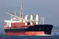 Granelero en venta