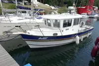 Barcos de trabajo en venta