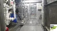 Buque de crucero en venta