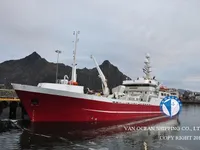 Arrastrero en venta