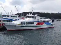 Buque de ferry en venta