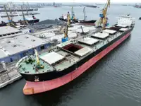 Granelero en venta